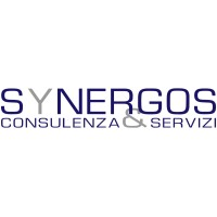 Synergos s.r.l.